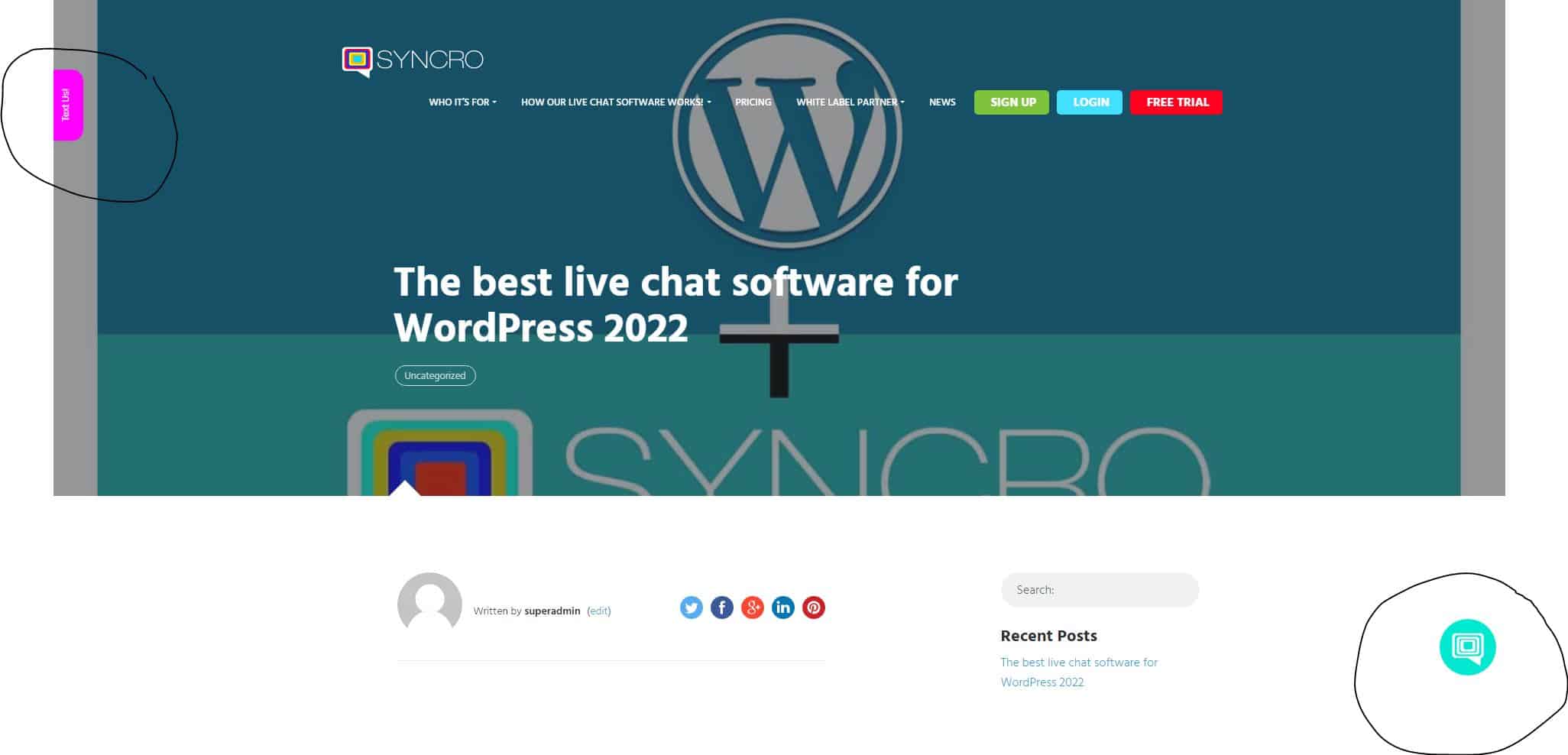 live chat widget for wordpress